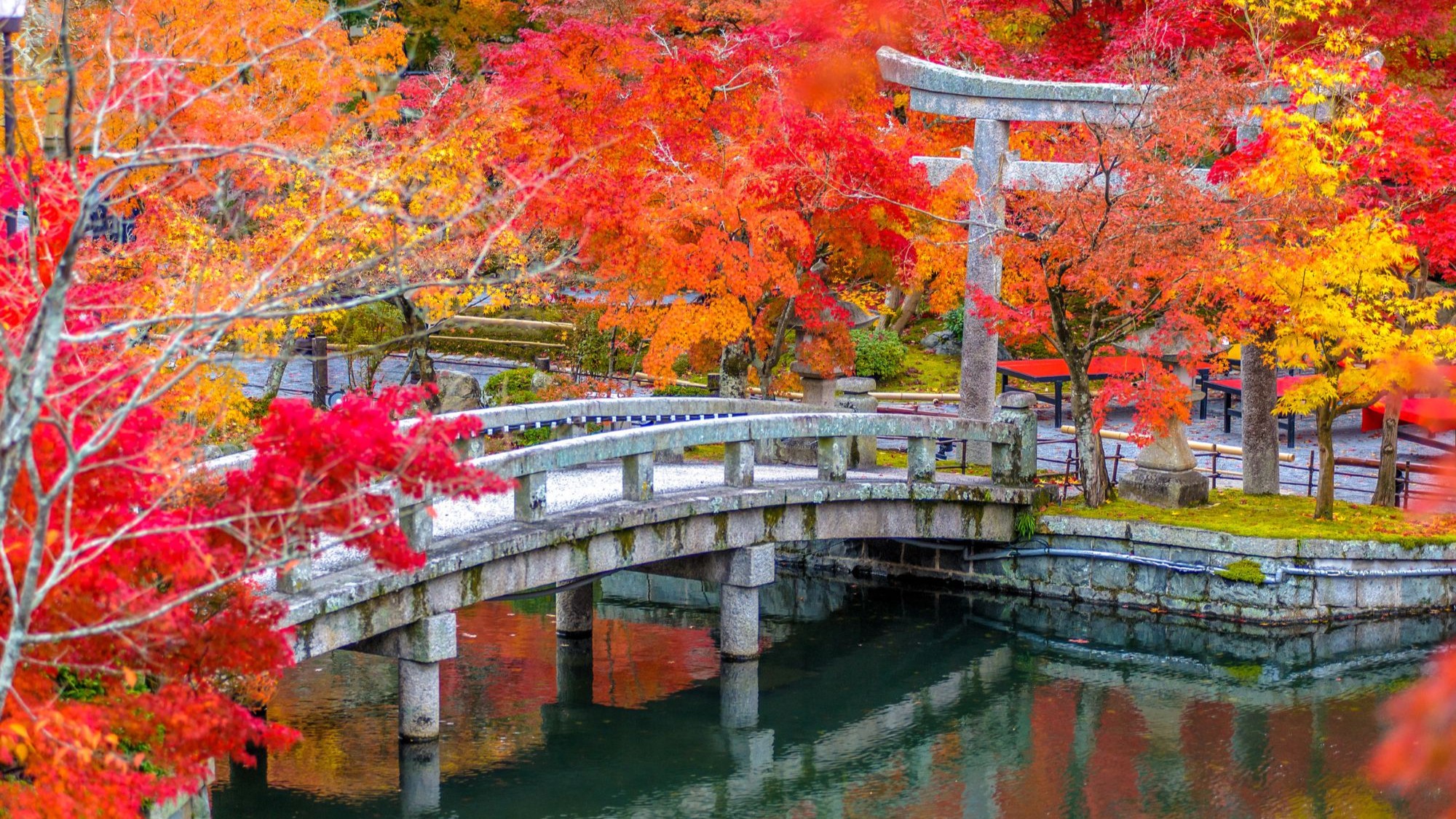 วัดเอคันโด (Eikando Temple) เกียวโต สะพานหินและศาลเจ้าโทริอิ ท่ามกลางใบไม้แดง เหลือง ส้ม ในฤดูใบไม้ร่วง