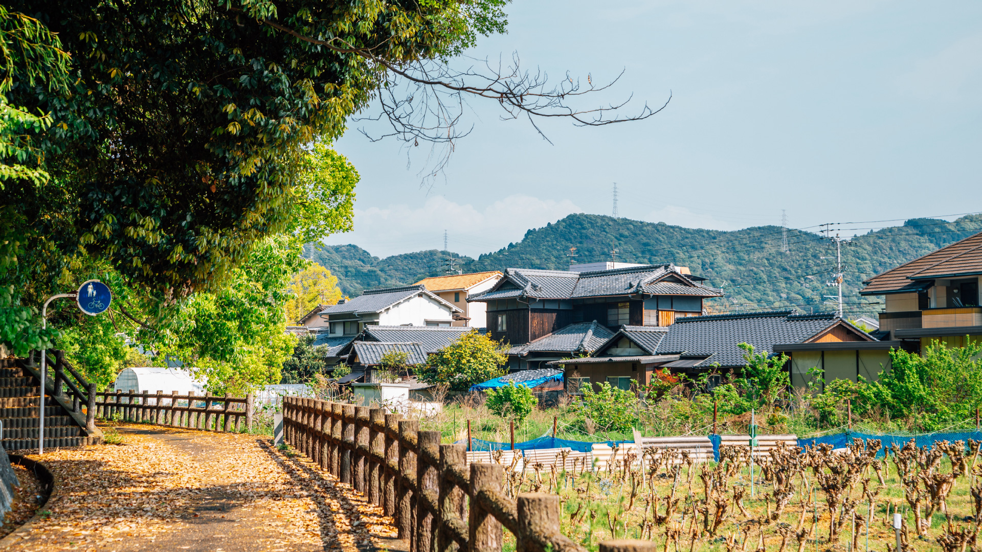 บ้านญี่ปุ่นในพื้นที่ชนบทห่างไกล แสดงปัญหาทำเลที่ทำให้บ้านร้างไม่มีผู้สนใจเช่า